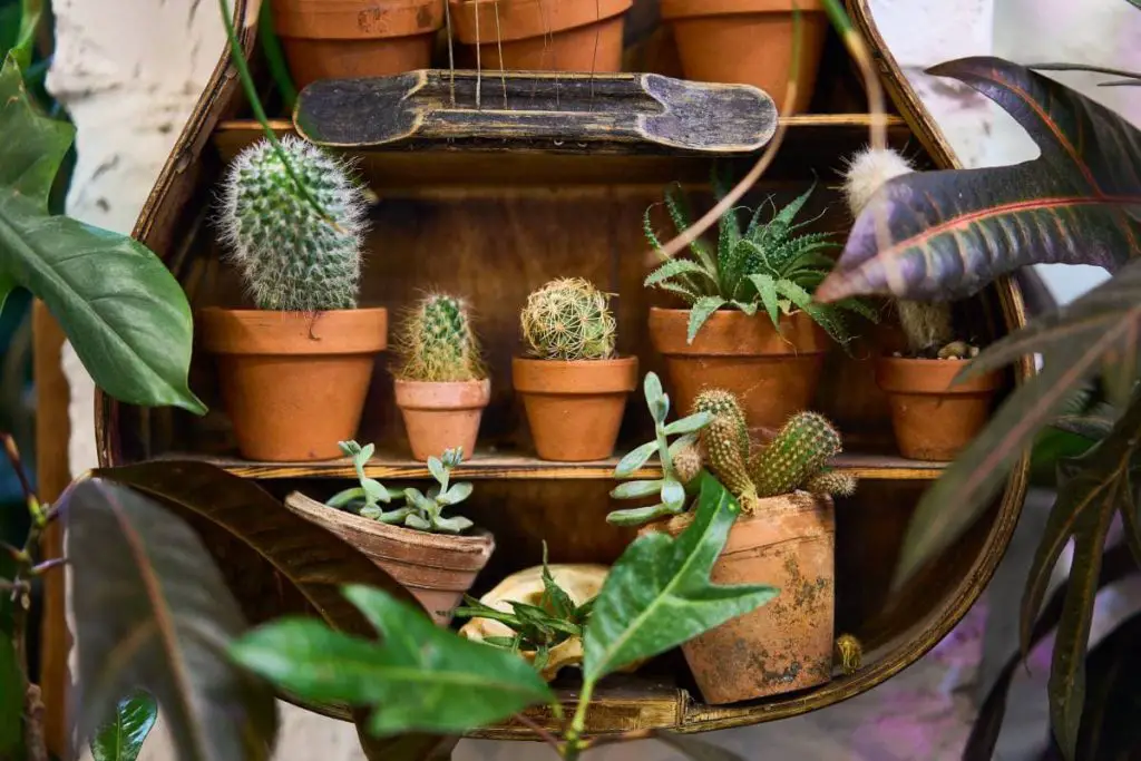 older acoustic guitar planter