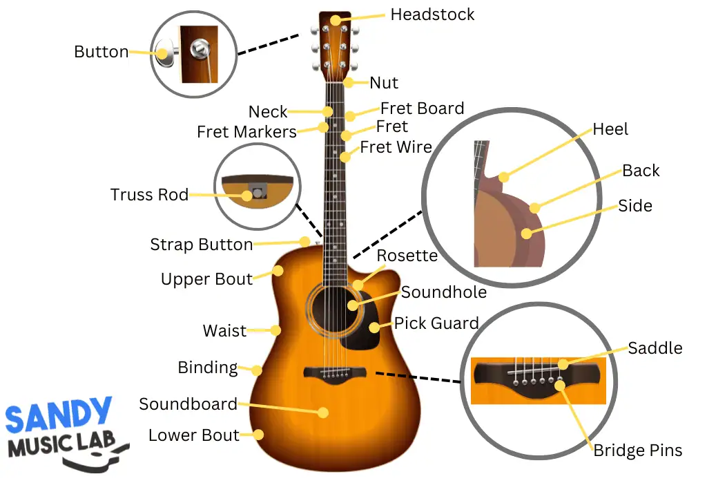 Acoustic Guitar Anatomy (Parts of The Acoustic Guitar Diagram) 3 Acoustic Guitar Anatomy 1