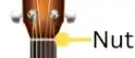 Acoustic Guitar Anatomy (Parts of The Acoustic Guitar Diagram) 6 image 5